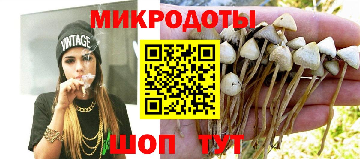 Псилоцибиновые грибы Psilocybine cubensis Мытищи