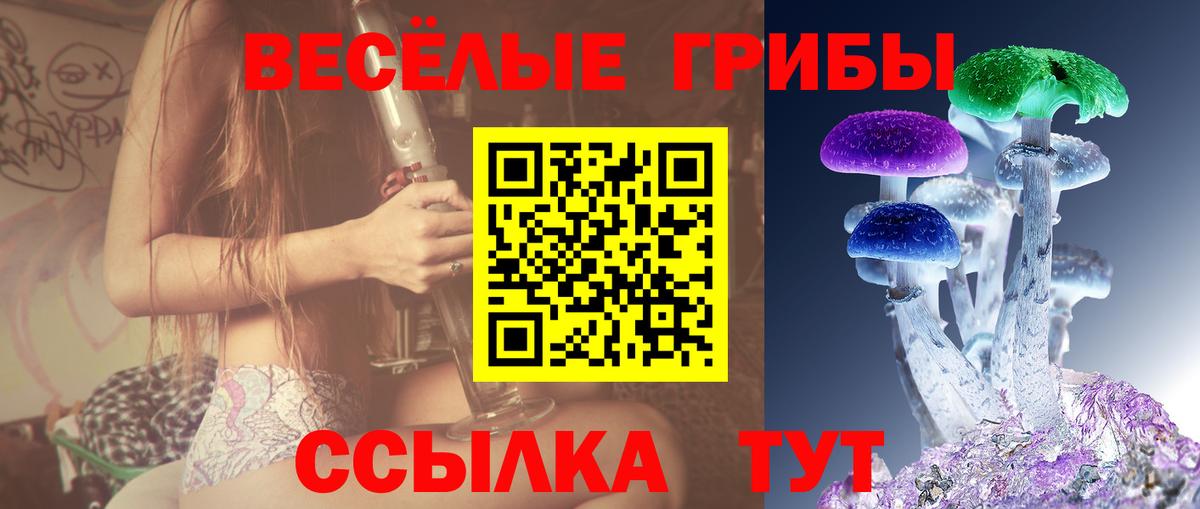 Мытищи  Псилоцибиновые грибы Psilocybine cubensis  Вход с VPN 